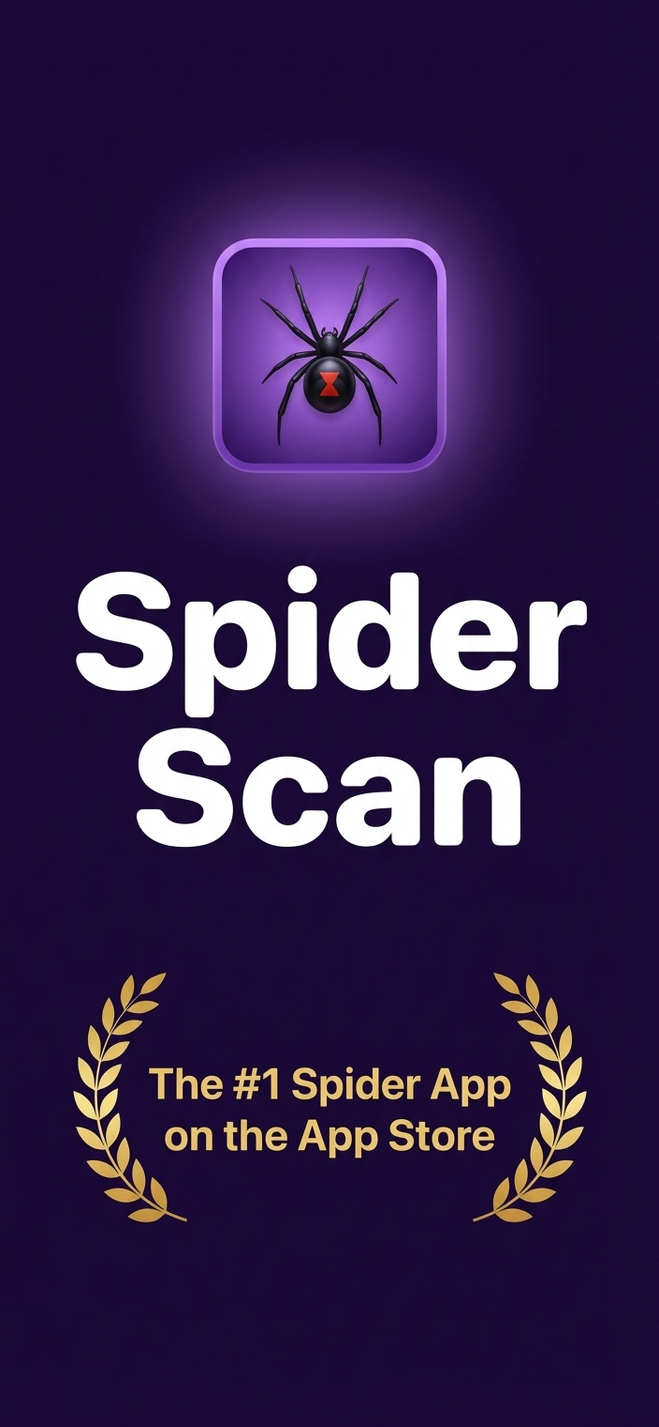 Spider Identifier: Spider Scan