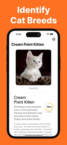 Cat Breed Identifier - Caty iPhone screenshot