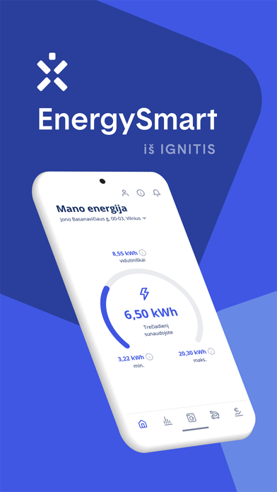 Ignitis EnergySmart Screenshot