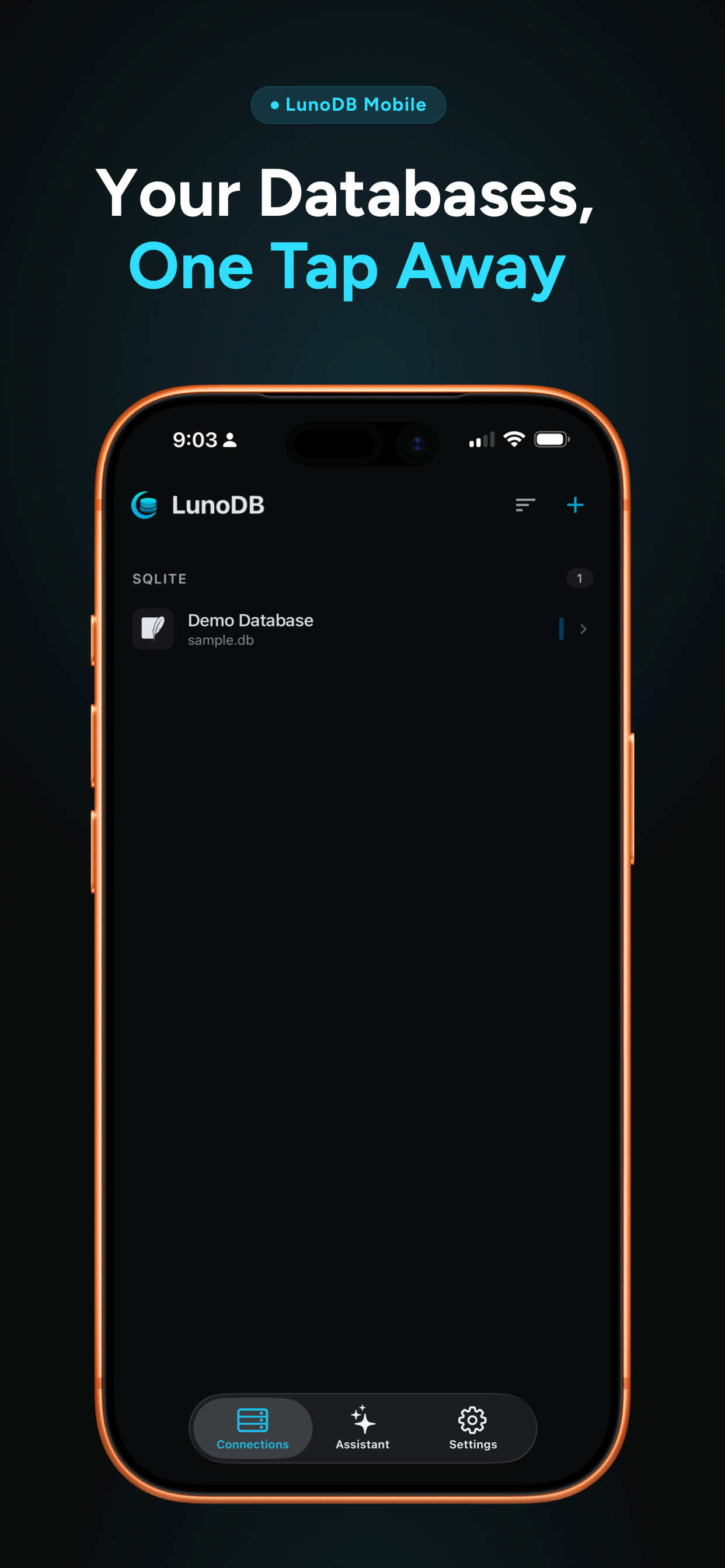 LunoDB