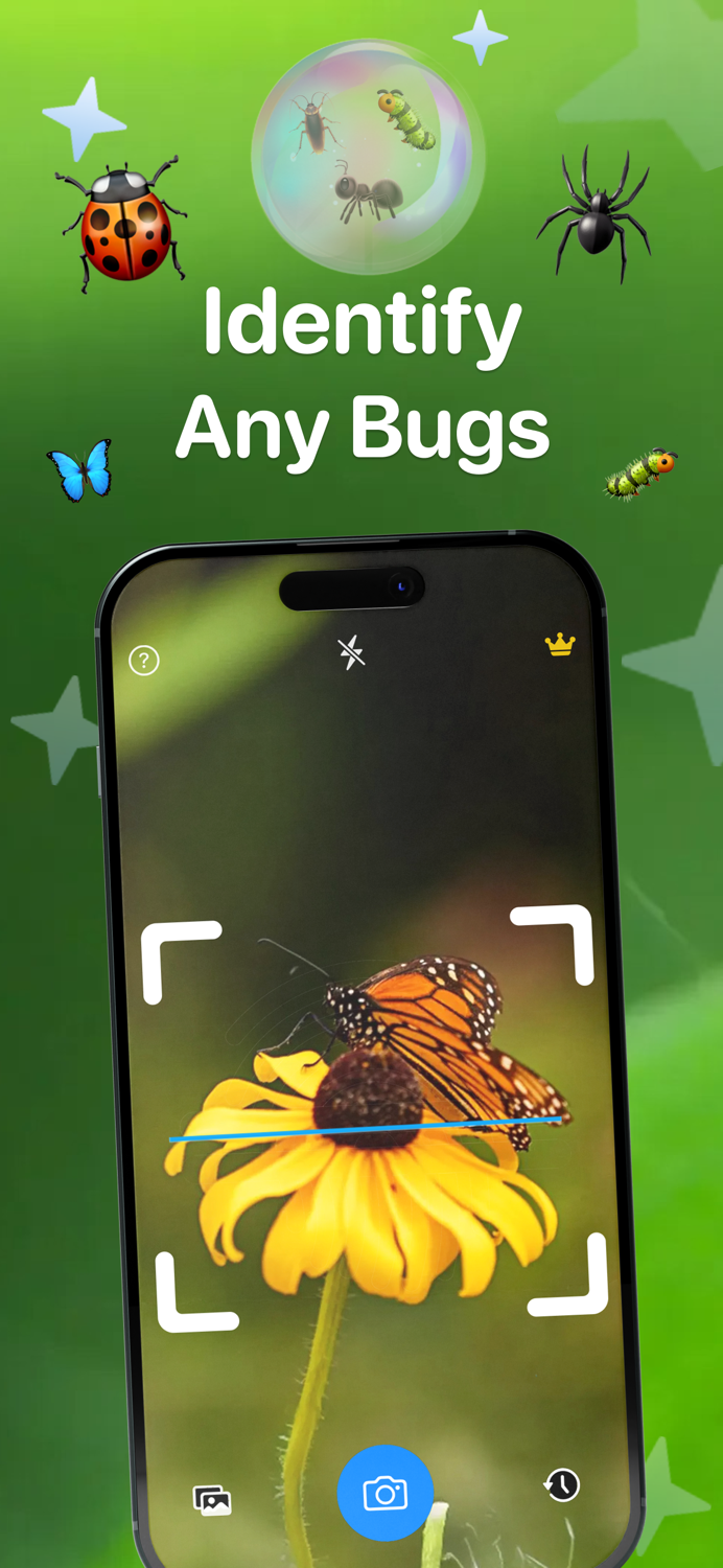 Bug Identifier