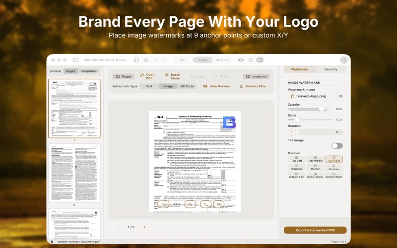 Page thumbnails and targeting controls