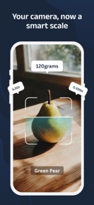 Digital Scale for Grams AI screenshot