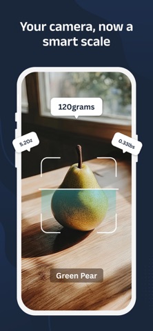 Digital Scale for Grams AI Screenshot 1 of 5