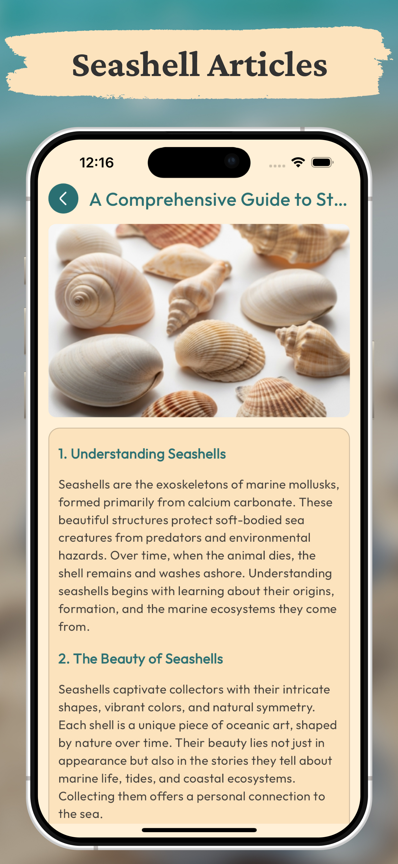 Sea Shell Identifier