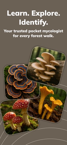 Mushy: Mushroom Identifier Screenshot 1 of 5