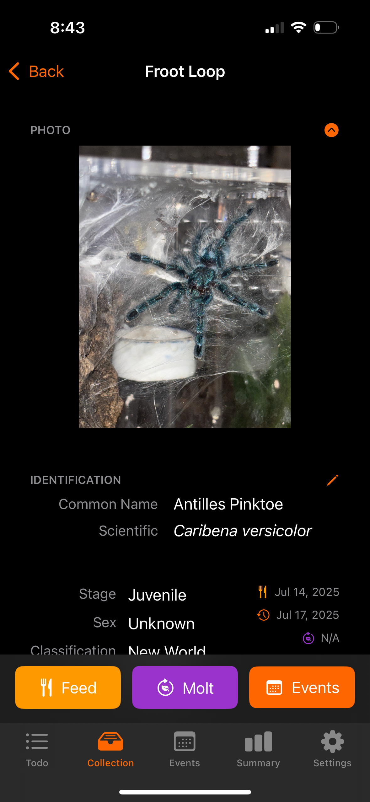 Tarantula Tracker