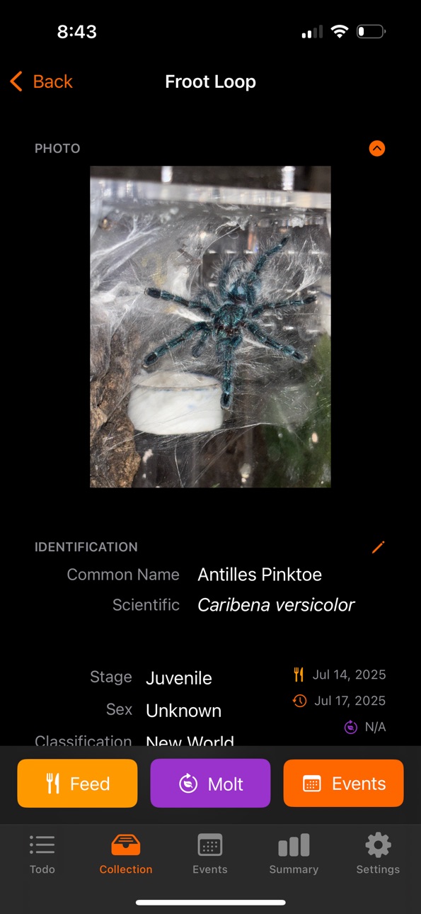iPhone screenshot
