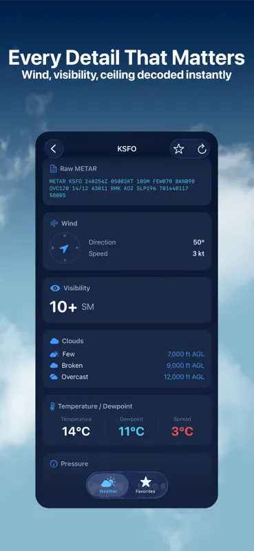 Aviation Weather: METAR & TAF screenshot 3 of 5