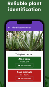 Medicinal herbs identification screenshot