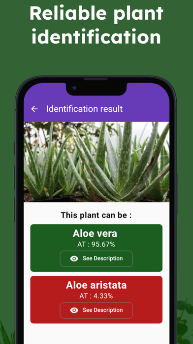 Plant identifier : herb, bark Screenshot