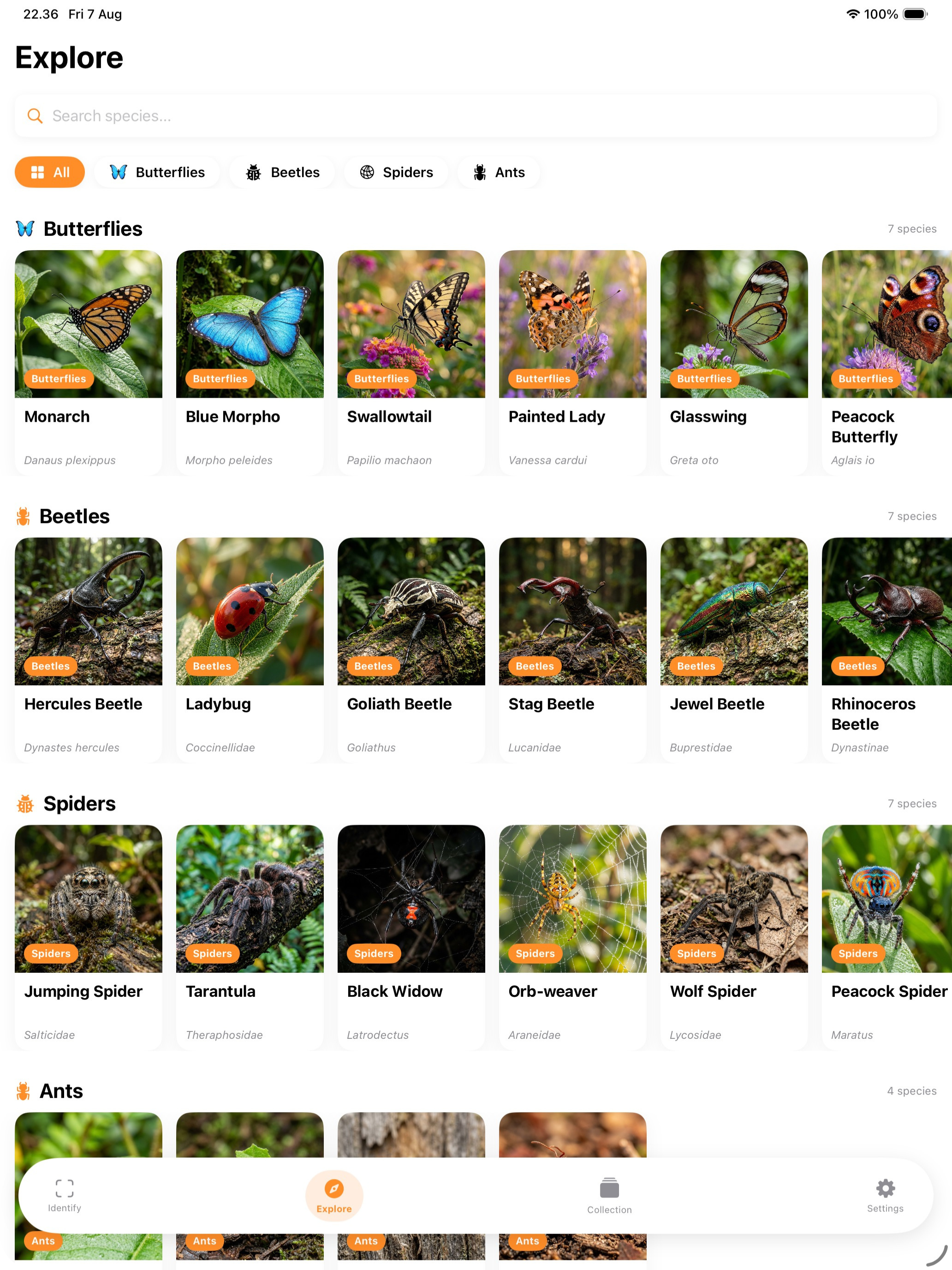 Insect Identifier: AI Bug Scan screenshot 10