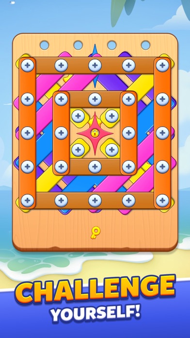 Screw Puzzle, Nuts & Bolts Screenshot