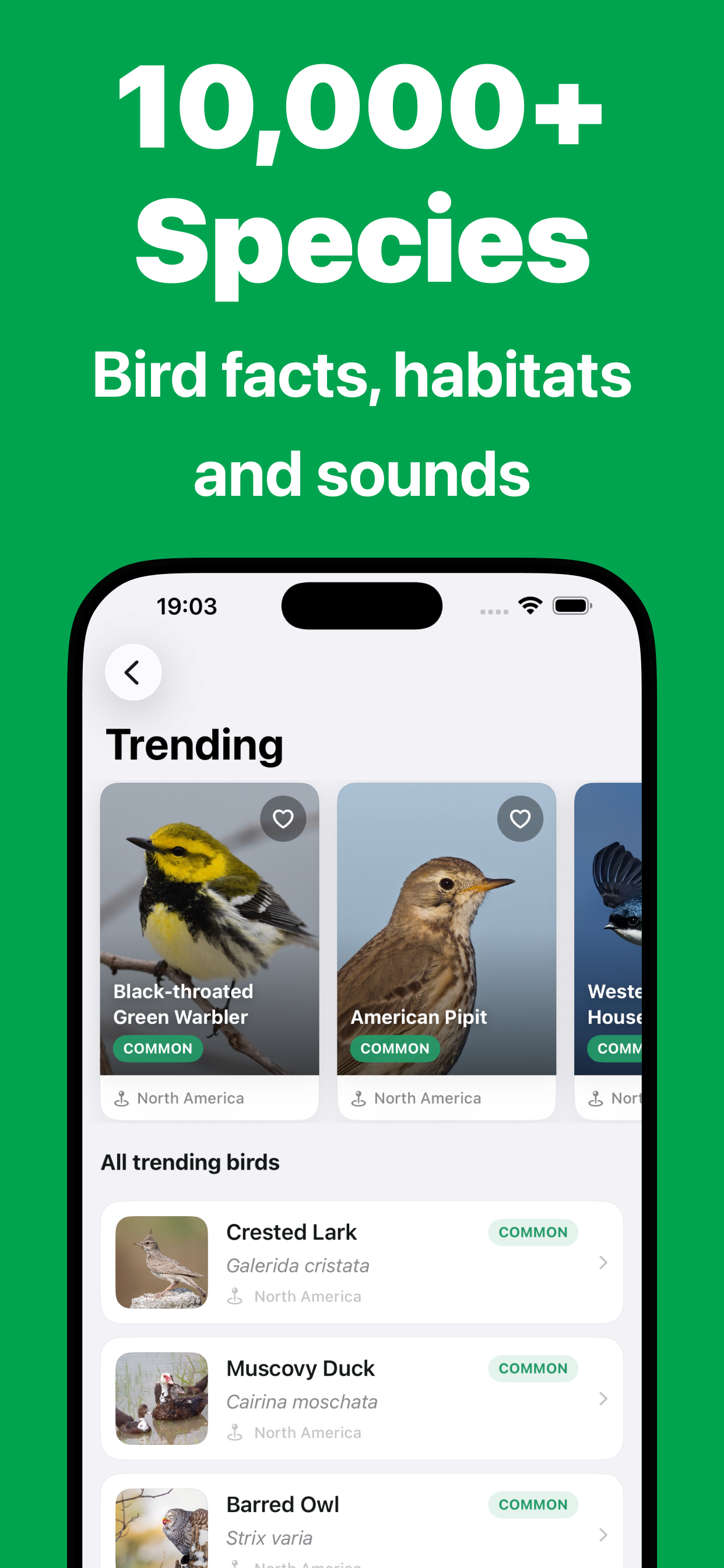 Bird Call Identifier - Bird ID screenshot 6