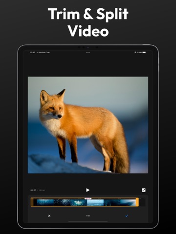 Video Speed Editor,Changer App iPad screenshot