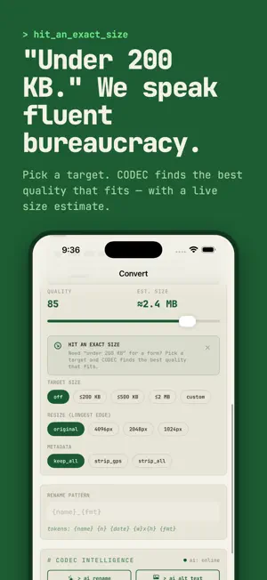 Photo Converter HEIC : CODEC screenshot 4