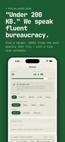 Photo Converter HEIC : CODEC screenshot