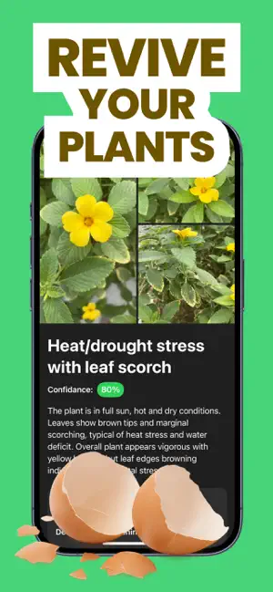 Plant Doctor - Disease Scan screenshot 2