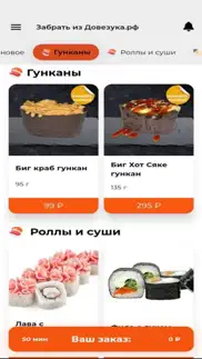 Довезука.рф iphone screenshot 2