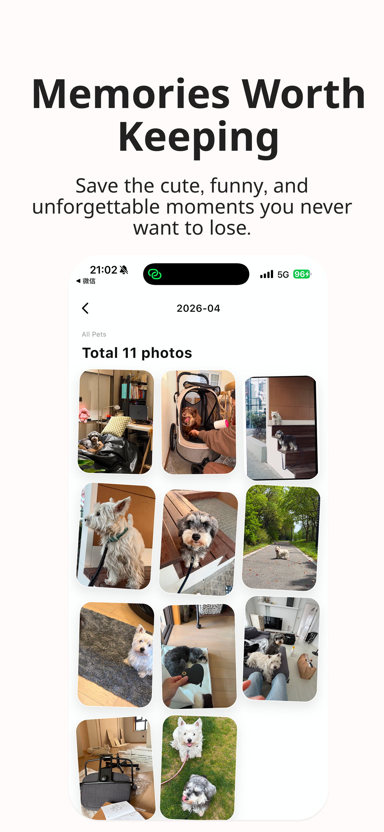 PawDoo