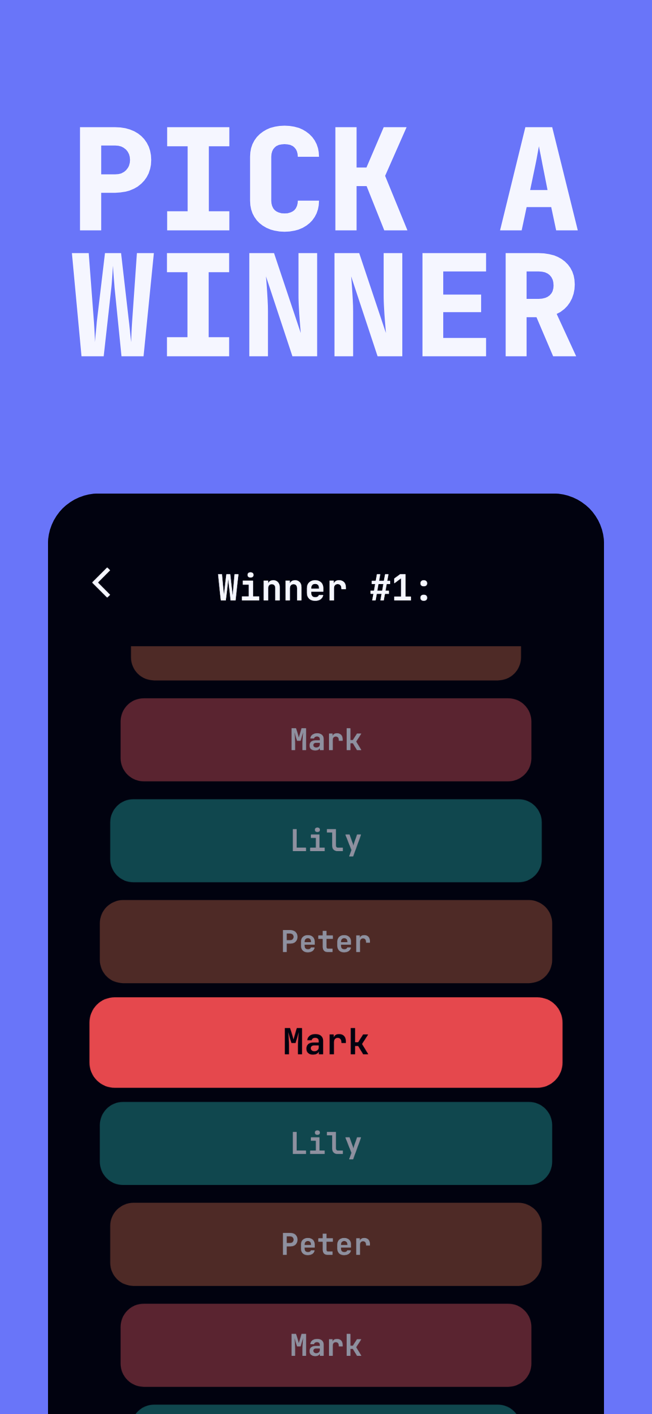 Raffle Wheel: Name Picker screenshot 4