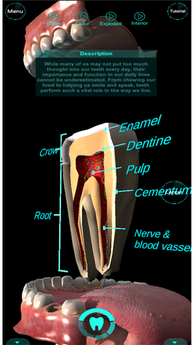 Dental Professional Screenshot