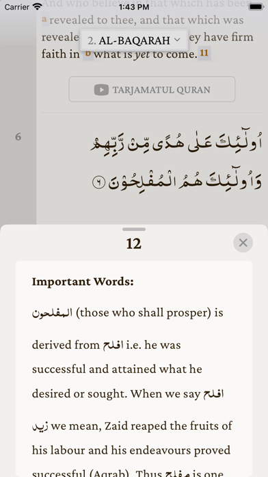 The Holy Quran  القرآن الکریم Screenshot