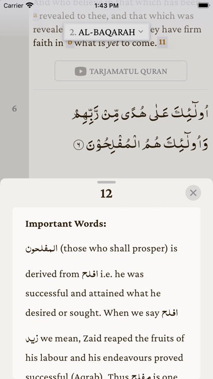 The Holy Quran  القرآن الکریم screenshot-3