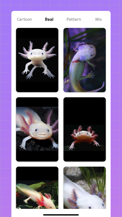 Cute Axolotl Wallpapers Screenshot