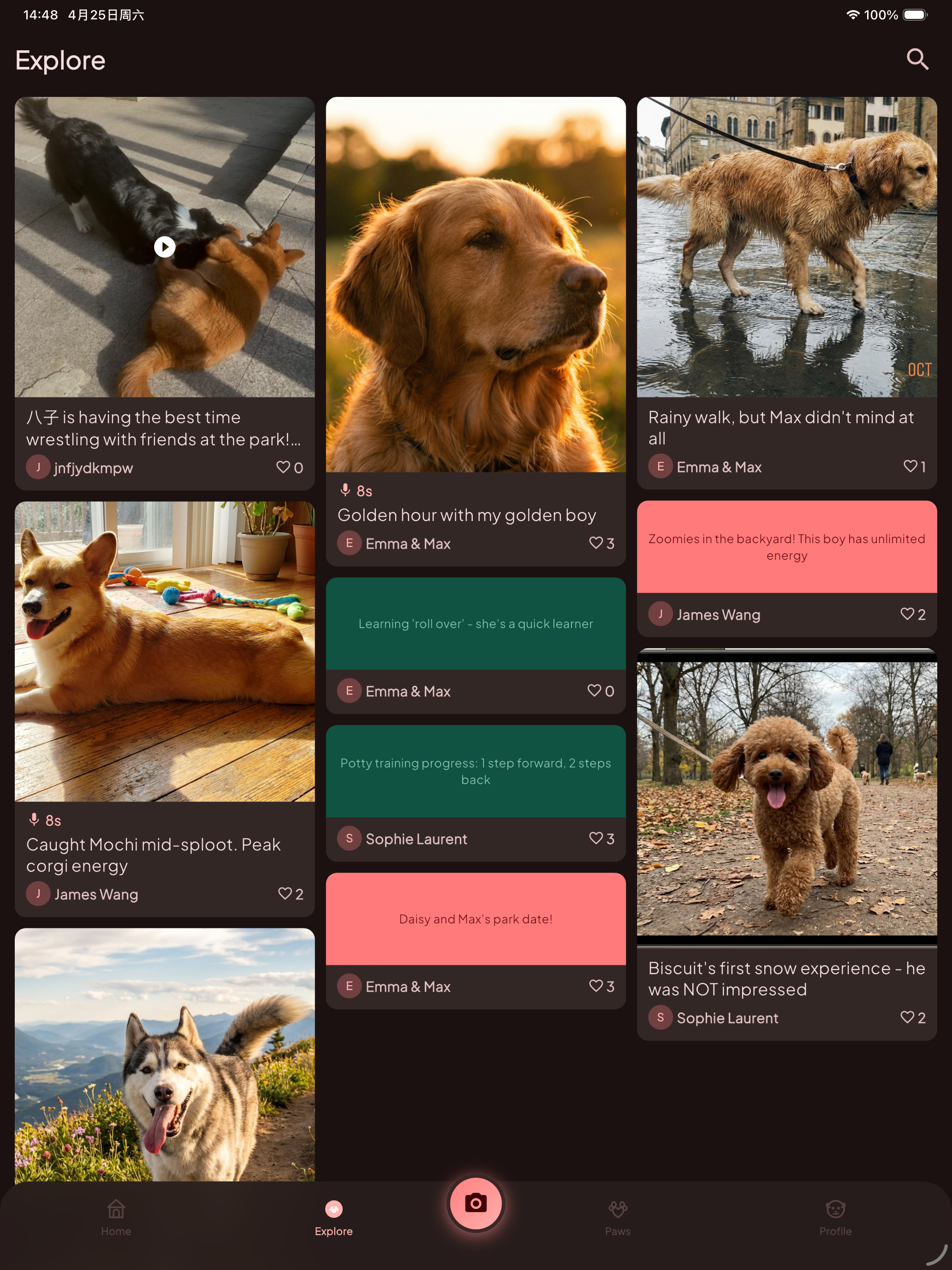 DogJoy - Dog Diary & Pet Game screenshot 9