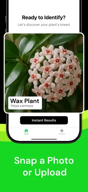 Plant Identifier AI Scanner screenshot 2