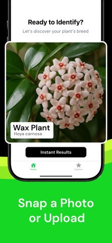 Plant Identifier AI Scanner Screenshot 2 of 5