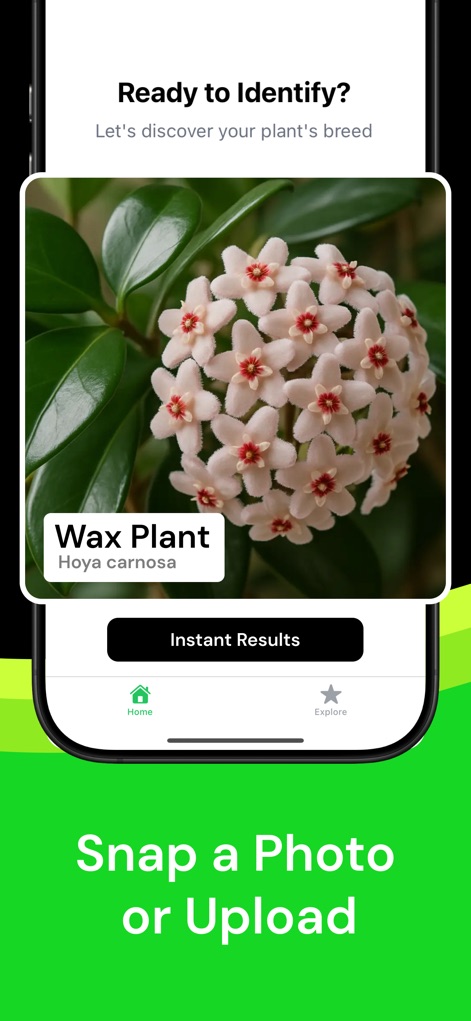 Plant Identifier AI Scanner - Lifestyle App | MWM