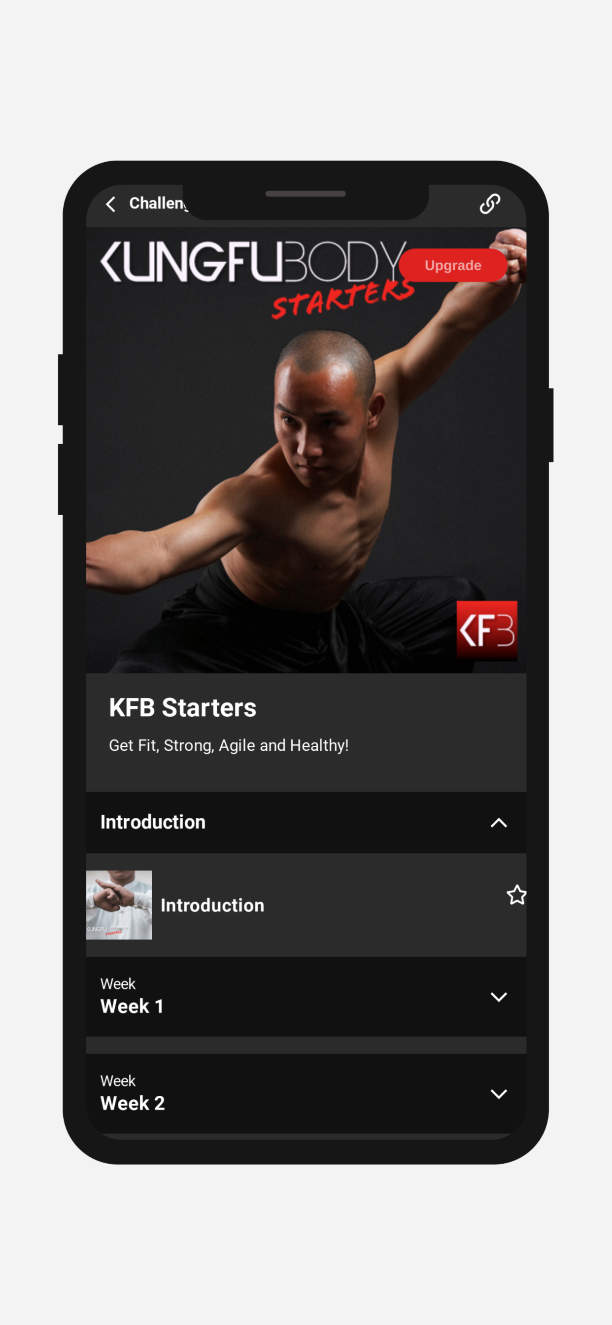 Kung Fu Body