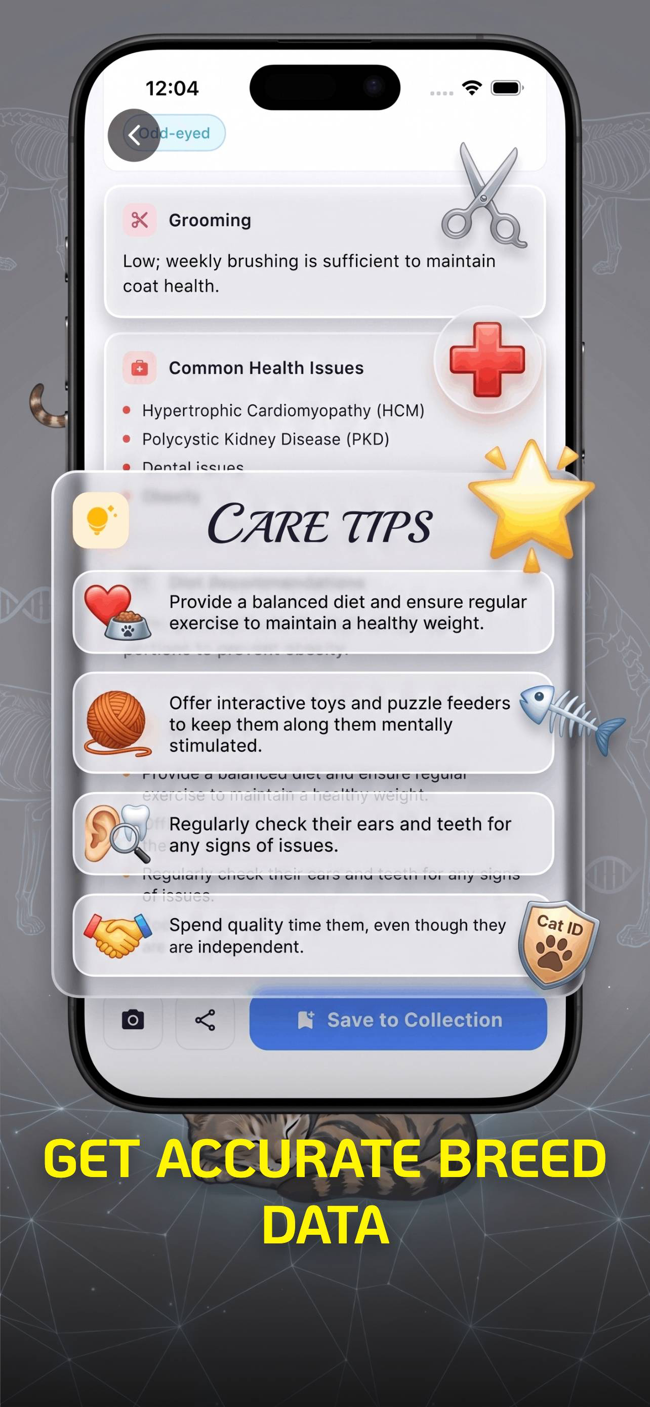 Cat Breed Identifier - Catfy screenshot 5