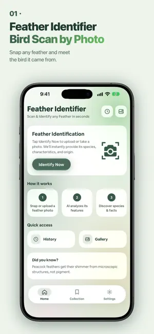 Feather Identifier: Bird Scan screenshot 1
