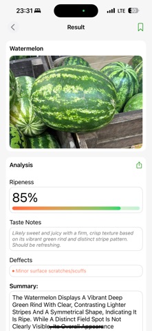 RipeMelon: Watermelon Analyzer screenshot