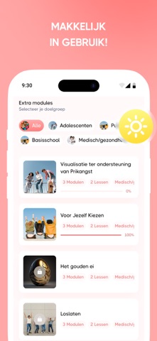 Breinbaas Academy screenshot