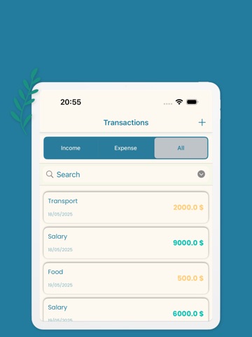 Budgetwise iPad screenshot