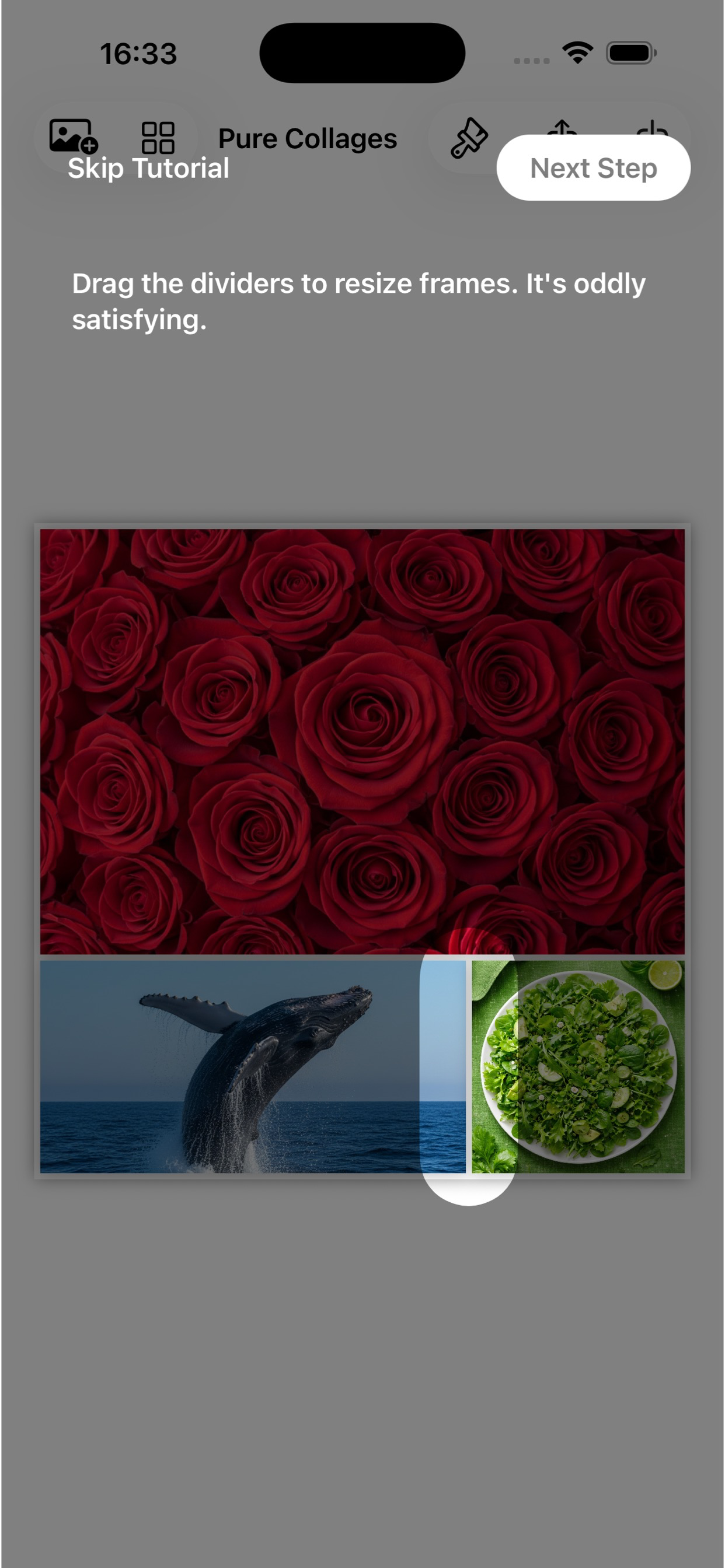 Pure Collages screenshot 7