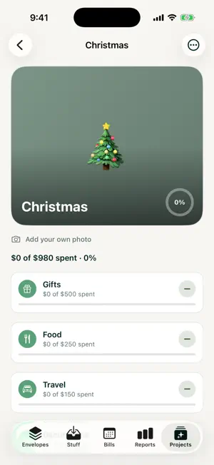 Tuckfly: Budget screenshot 3