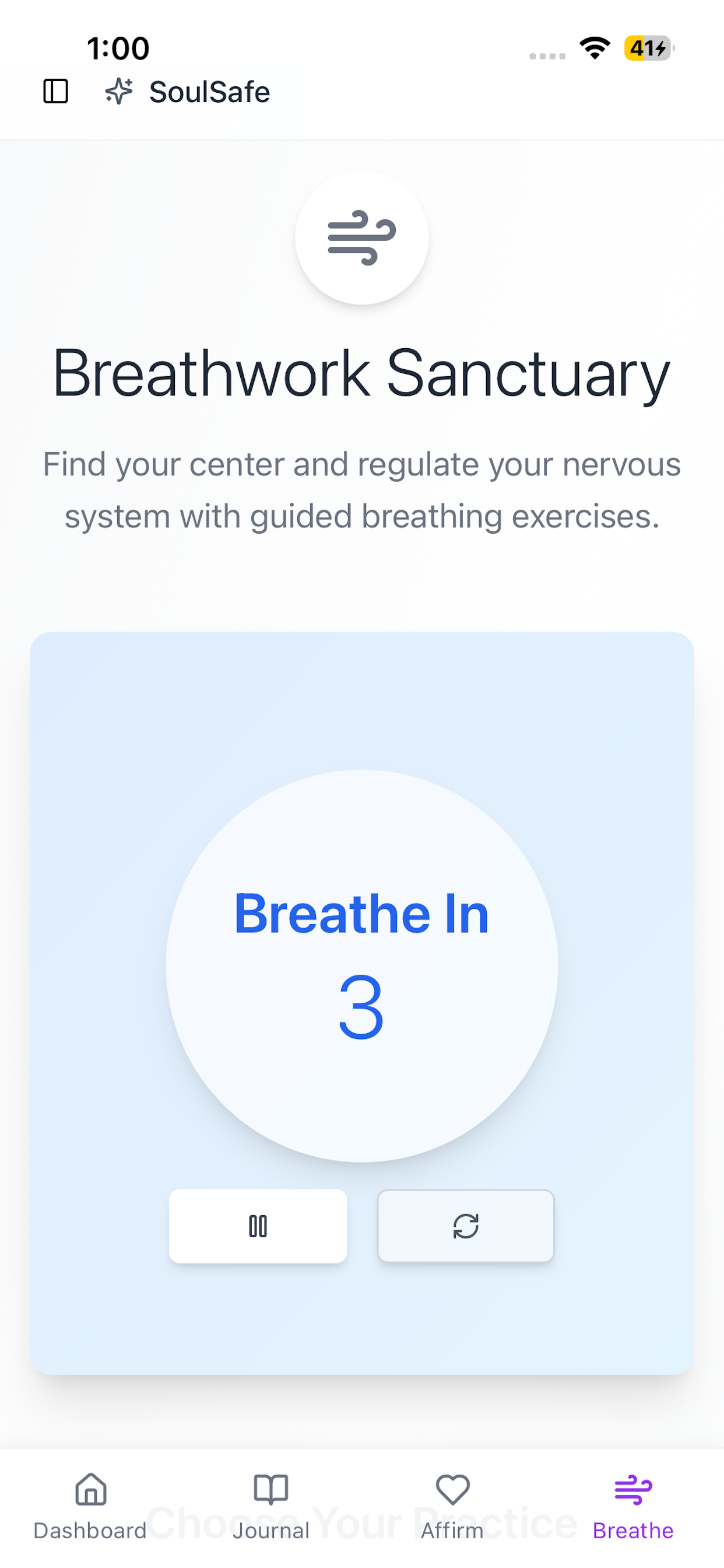 SoulSafe App screenshot 3