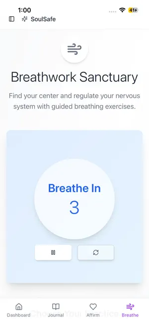 SoulSafe App screenshot 3