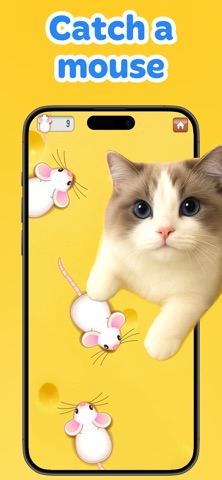 Games for Cats: Fish & Mouse iPhone screenshot