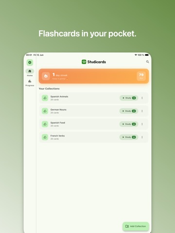 Studicards - Learn Flashcards iPad screenshot