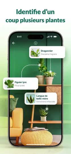 Capture d'écran de Plantum - Reconnaitre Plantes sur iPhone 4