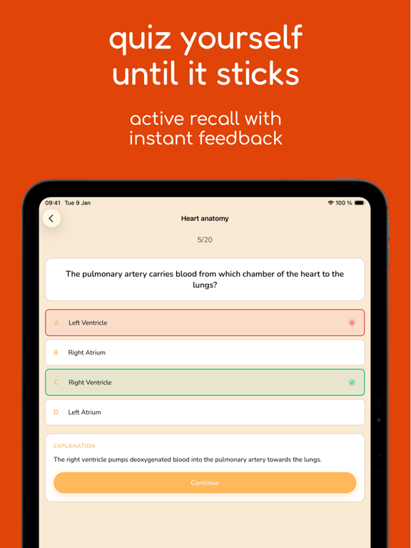 Ankra: AI Notes & Flashcards iPad screenshot