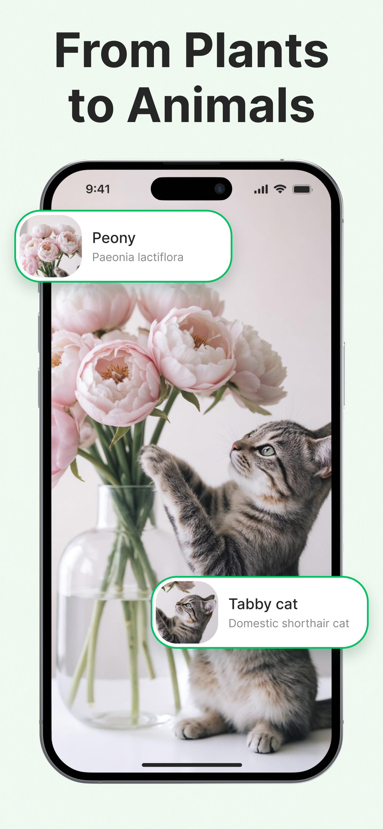 Lens AI: Identify Anything App screenshot 5