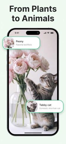 Lens AI: Identify Anything App iPhone screenshot 5