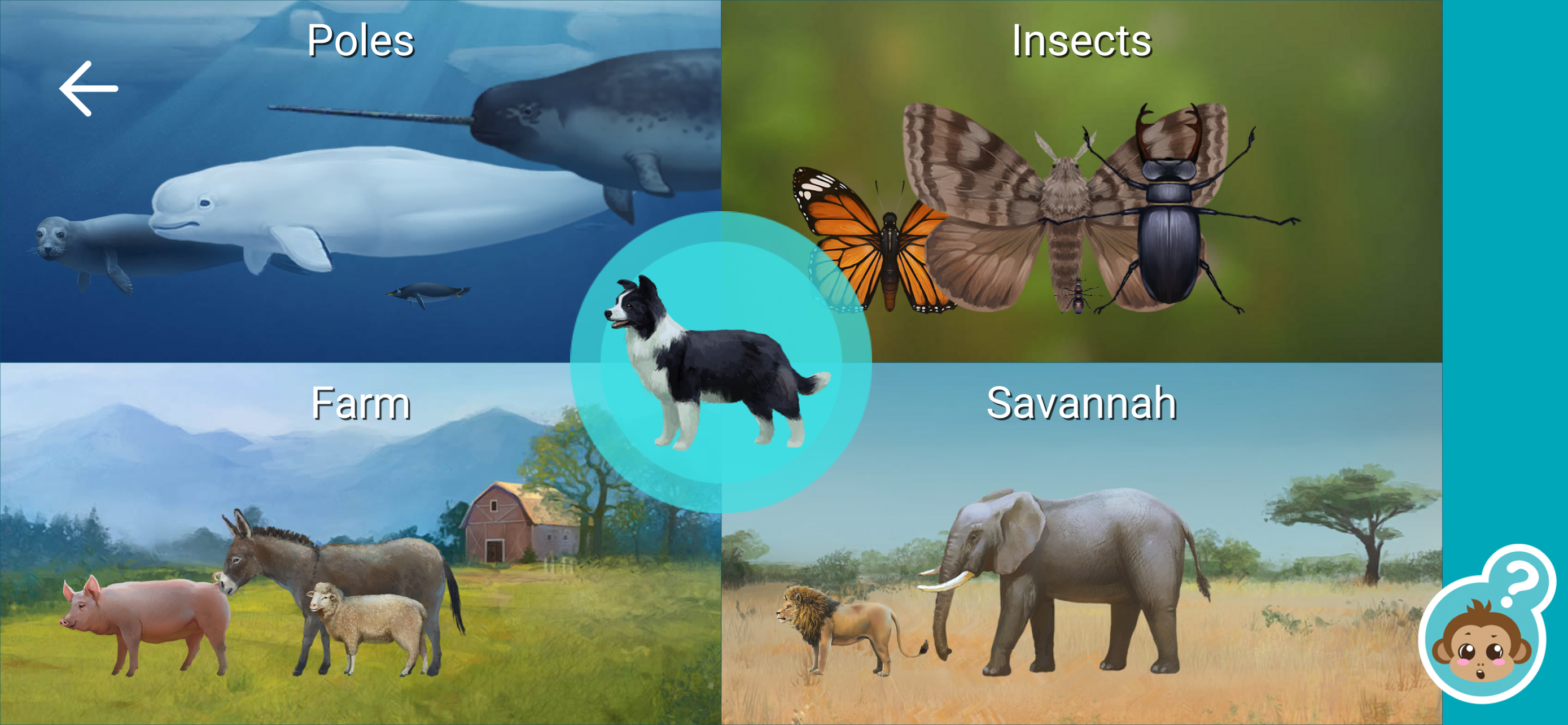 Learn the Animals in Family